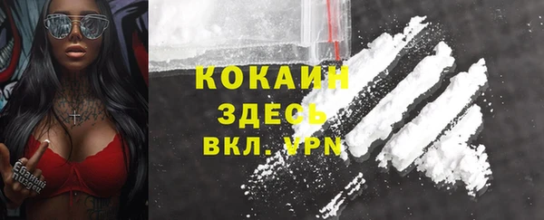 мяу мяу мука Каменногорск