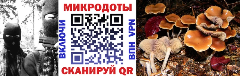 Псилоцибиновые грибы Cubensis  Купить  Назрань 